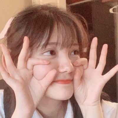 魔力龙之纹章游戏下载
